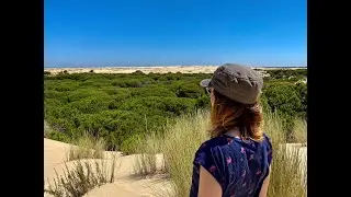PARQUE NACIONAL DE DOÑANA - GUIA DE VIAJE HUELVA, ANDALUCIA