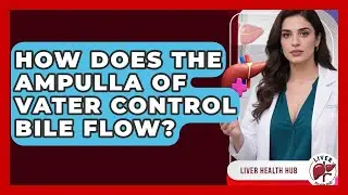 How Does The Ampulla Of Vater Control Bile Flow? - Liver Health Hub