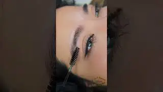 Nano Brows in NYC by Ellebrow