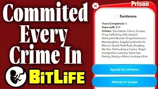 I attempted EVERY CRIME in Bitlife&hellip; in One Life!