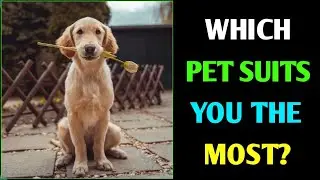 WHICH PET IS BEST FOR YOU || PERSONALITY TEST IN HINDI