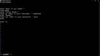 Take User Input in Bash Script