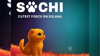 SACHI Exploded - Here's What Happened