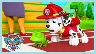 PAW Patrol - Pups Save a Flying Frog 🐾🐸 | Animal Saves Compialtion | WildBrain Bananas
