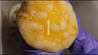 🫧🧽ASMR: Saved Dettol mixes on 2 new teardrop sponges: Part 2🧽🫧