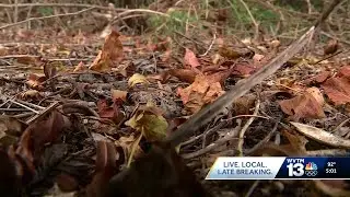 Lack of rain and low humidity in central Alabama brings increased risk of wildfires
