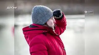 Лебедей отправят в зоопарк