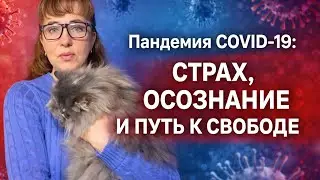 Пандемия COVID-19: страх, осознание и путь к свободе.