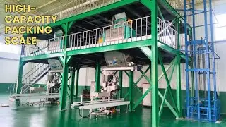 High Capacity Packing Scale