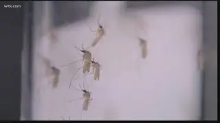 First human death from Eastern Equine Encephalitis in South Carolina