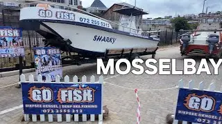 FISHING CHARTERS mosselbay harbour