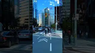 Walk in Downtown Toronto: Let's Live in the Moment #torontovibes  #videoshort #downtown #autumn