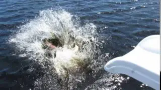 Gavin's first run on our dock slide!! :)