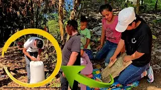 Dios mio! Dos Quintales de Maíz Para Quien Será?😱🤯