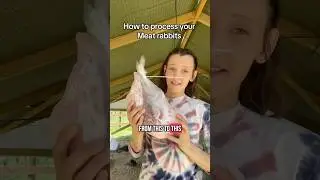 How to process your meat rabbits