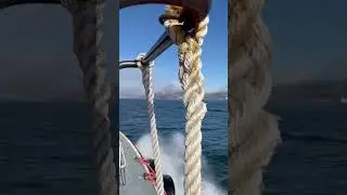 Back at it!! #sea #boat #ship #pilotboat #ships #4k
