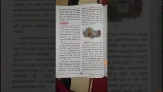 11th Art 6le no पुर्णसामाजिकरण Dr. suchita Dhere