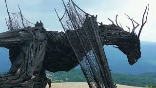 Drago Vaia Regeneration.