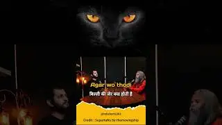 Billi ki jer kya hoti hai | बिल्ली की जेर #shorts #cat #cats #catlover #billijer #catshorts #catlife