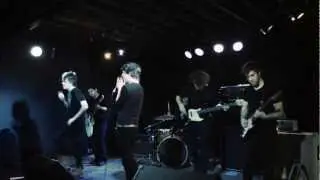 Treebeard - Haru Tora (LIVE @ The Bridge)