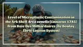 Microplastic Contamination in &Eacute;bri&eacute; Lagoon Bivalves: Human Health Risks Revealed