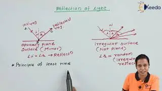 Reflection of Light - Optics in Physics - Diploma Physics 1