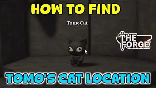 Comment retrouver le chat perdu de Tomo dans The Forge | Emplacement du chat perdu de Tomo