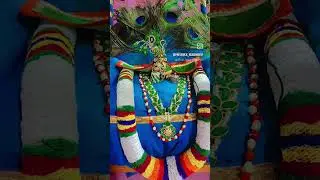 #jadhav #shrinathji #shingar #pushtimarg #pushti #prabhuji #prashad #vaishnav #lalan #nandan #seva