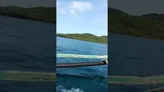 Credit Investigation in Island