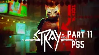 Stray Walkthrough Gameplay Part 11 - Jail (PS5)(1080p HD)