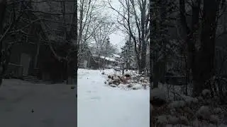 Snowfall in New Brunswick, Canada