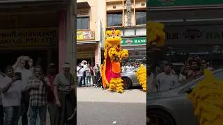 Академия танца льва Сян Ян, Сингапур #шорты