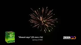 Z1030 Живой звук