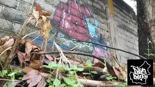 Panorama #graffiti #2023 #indonesia
