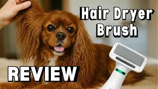 I Tried This Dog Grooming Brush on My Cavalier | Is It Any Good?