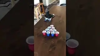 Horton plays non-alcoholic #beerpong