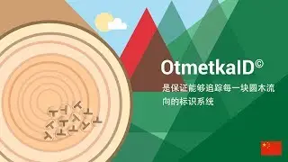 OtmetkaID &ndash; 是保证能够追踪每一块圆木流向的标识系统