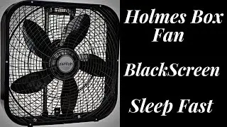 Fan Sound Black Screen White Noise 10 Hours for Sleep, Deep Sleep, Insomnia Therapy