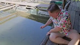 Rybka ugryzła Makłowicza