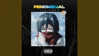 Fenomenal