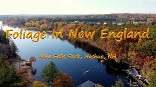 Foliage in New England - Mine Falls Park with DJI Mavic Mini