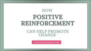 How Positive Reinforcement Can Help Promote Change