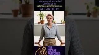 PLUTCO.COM &mdash; &ldquo;Offshore, opaque, and designed to make your money disappear.&rdquo;