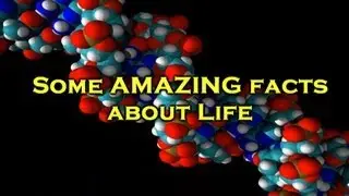 Some AMAZING facts about life!