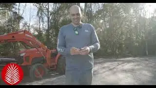 The Secret Plant EVERY Florida Garden Needs! | Coontie & Its Hidden Perks