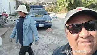 Cortando árboles y yerba 