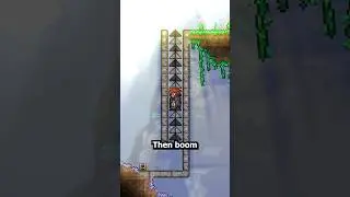 The BEST Hoik Uses in Terraria!
