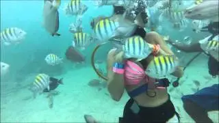 underwater8