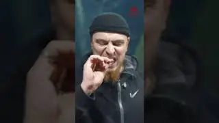 Мангал Дипломат от АСАН 👌Заказать можно в ВБ