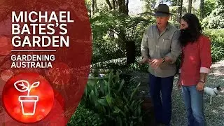 Michael Bates's Blue Mountains garden